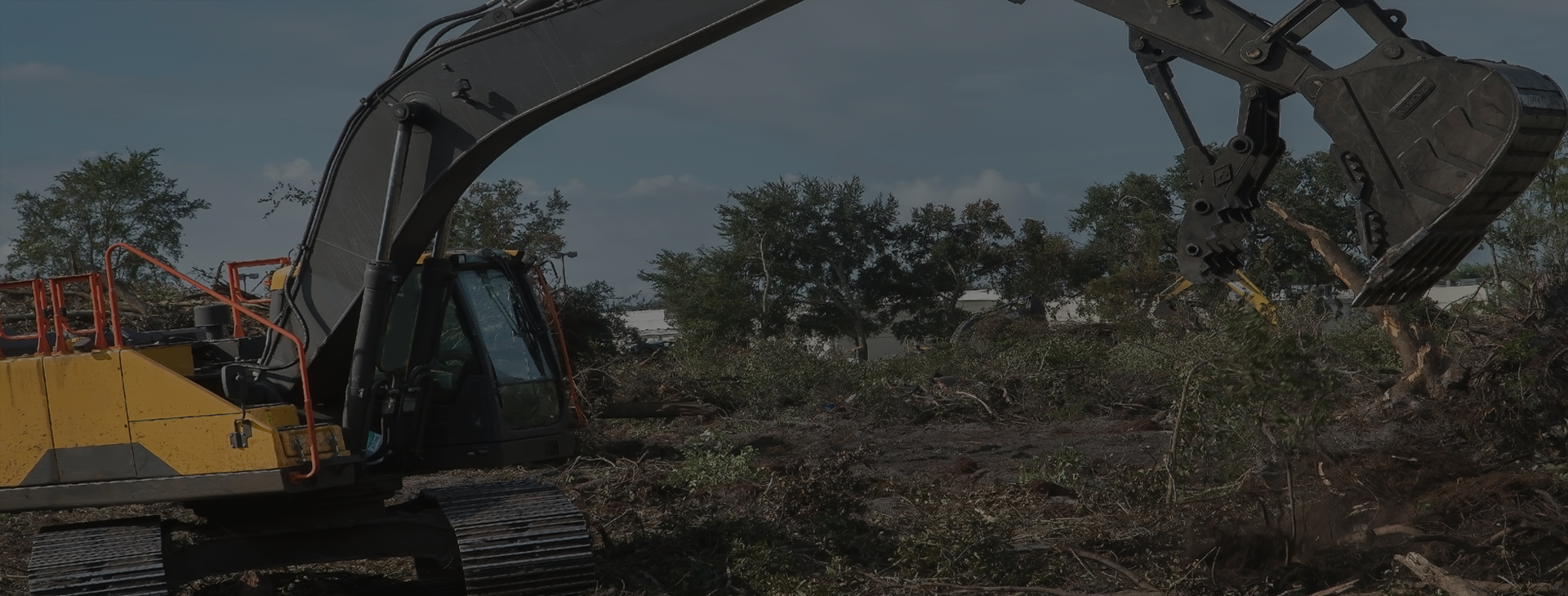 HILLSIDE / BRUSH CLEARING